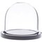 Plymor Mini Glass Display Dome Cloche (Black Acrylic Base)